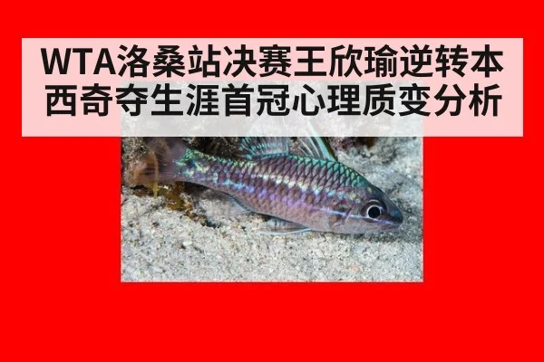 WTA洛桑站决赛王欣瑜逆转本西奇夺生涯首冠心理质变分析